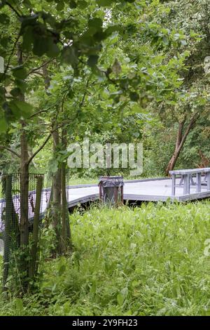 Eine hölzerne Fußgängerbrücke schlängelt sich durch den Wald Stockfoto