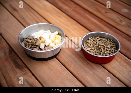 Vergleich zwischen einem gesunden, selbst gekochten Essen für einen Hund oder eine Katze und kaufte Trockentrockenfutter - zwei Schüsseln Hundefutter auf Holzbrettern. Stockfoto