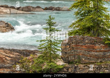 Atemberaubende Natural Bridge im Yoho National Park im Frühling mit unglaublichem Gletscherwasser, das über die felsige Landschaft im Yoho National Park fließt. Stockfoto