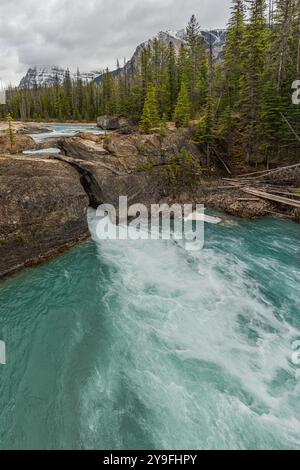 Atemberaubende Natural Bridge im Yoho National Park im Frühling mit unglaublichem Gletscherwasser, das über die felsige Landschaft im Yoho National Park fließt. Stockfoto