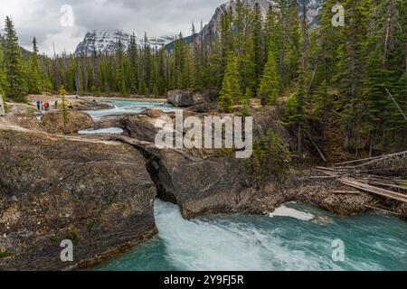 Atemberaubende Natural Bridge im Yoho National Park im Frühling mit unglaublichem Gletscherwasser, das über die felsige Landschaft im Yoho National Park fließt. Stockfoto