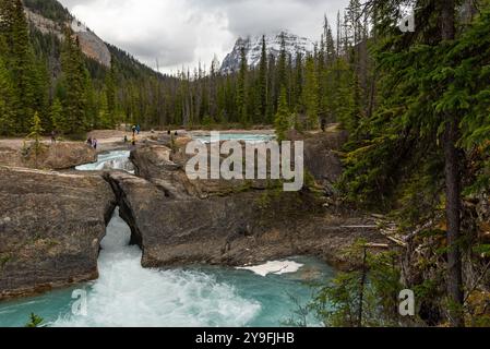 Atemberaubende Natural Bridge im Yoho National Park im Frühling mit unglaublichem Gletscherwasser, das über die felsige Landschaft im Yoho National Park fließt. Stockfoto