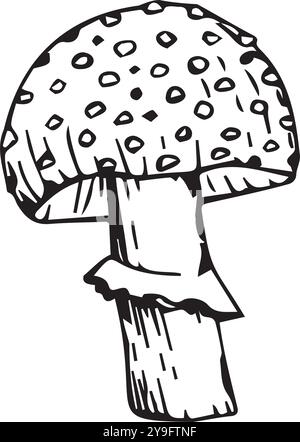 Ein Fliegenpilz, handgezeichnet in schwarzer Tinte auf weißem Hintergrund. Vektorillustration für Ihr Design Stock Vektor