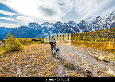 Herbstausblicke auf das Larch Valley und den malerischen Sentinal Pass im September mit leuchtend gelben Bäumen und einer Frau beim Wandern, einer Person, einem Hund Stockfoto