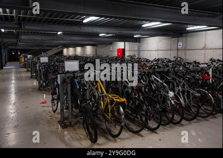 Reihe von Blue Bikes für die letzte Meile nach dem Zugtransport in Aalst, Ostflandern, Belgien, 6. Oktober 2024 Stockfoto