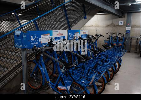 Reihe von Blue Bikes für die letzte Meile nach dem Zugtransport in Aalst, Ostflandern, Belgien, 6. Oktober 2024 Stockfoto