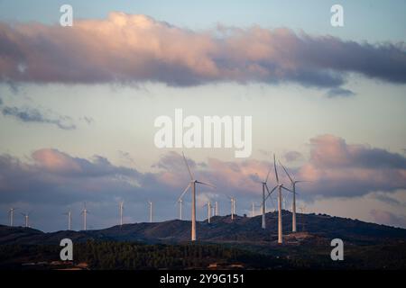 Netz der Windkraftwerke, Artajona (Artaxoa) Merindad de Olite, Foral Community of Navarra, Spanien. Stockfoto