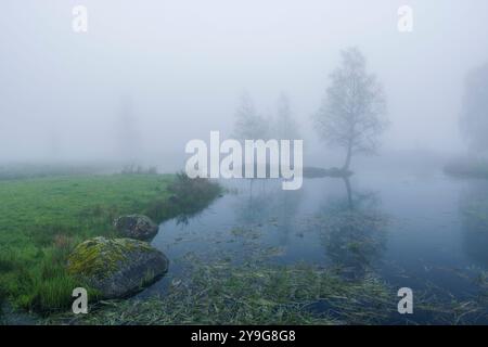 Plateau des Grilloux, Plateau der tausend Teiche (Plateau des Mille etangs), Haute Saone, Bourgogne-Franche-Comte, Frankreich Stockfoto