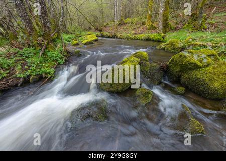 Plateau des Grilloux, Plateau der tausend Teiche (Plateau des Mille etangs), Haute Saone, Bourgogne-Franche-Comte, Frankreich Stockfoto