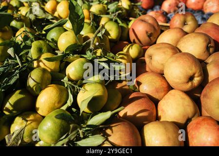 Obst auf dem Markt, Äpfel und Zitronen. Stockfoto