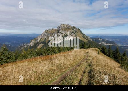 Velky Rozsutec, Mala Fatra, Slowakei. Gipfel, Gipfel und Gipfel des Berges. Landschaft des Hügels und des Weges. Spätsommer und Frühherbst. Sonnig mit cl Stockfoto