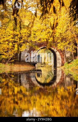 Herbst im Lietzensee Park, Charlottenburg, Berlin. Der ruhige See des Parks spiegelt leuchtende Herbstfarben wider Stockfoto