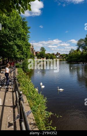 Mädchen füttert Tauben am Ufer der Severn in Worcester Stockfoto