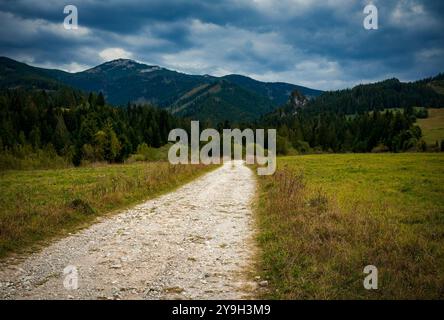 Natur Hintergrund heller Pfad durch die Landschaft zu den Felsen Stockfoto