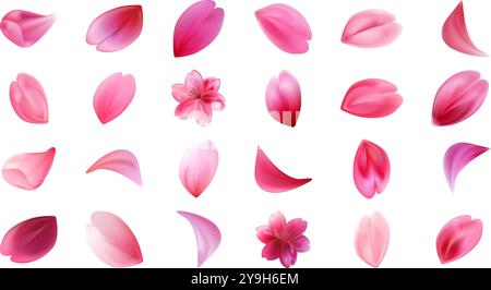 Set aus verschiedenen realistischen Blüten von Sakura-Blütenblättern. Stock Vektor