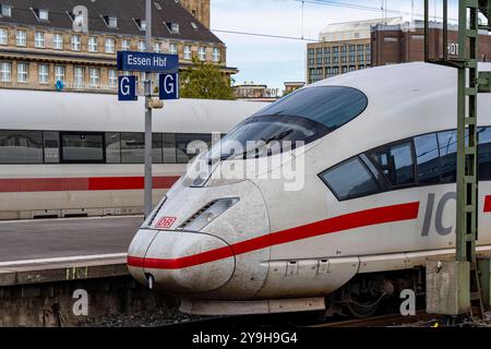 Hauptbahnhof Essen, ICE Züge auf den Gleisen, im Hintergrund der Handelshof, Innenstadt von Essen, NRW, Deutschland, HBF Essen *** Hauptbahnhof Essen, ICE-Züge auf den Gleisen, im Hintergrund der Handelshof, Stadtzentrum von Essen, NRW, Deutschland, Essen Hauptbahnhof Stockfoto