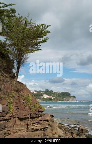 Wunderschöner Blick auf Lastres vom Strand La Griega, Colunga. Bäume über die Felsen. Asturien, Spanien Stockfoto