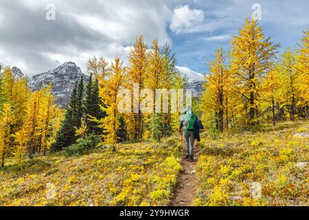 Unglaubliche Herbstausblicke auf das Larch Valley und den malerischen Sentinal Pass im September mit leuchtend gelben Bäumen und einer Frau, die eine Person wandert Stockfoto