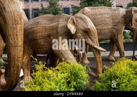 Die große Ausstellung der Elefantenwanderung zeigt lebensgroße Elefanten aus invasivem Unkraut, die auf der ganzen Welt Naturschutzprojekte zeigen, 2024, NYC, USA Stockfoto