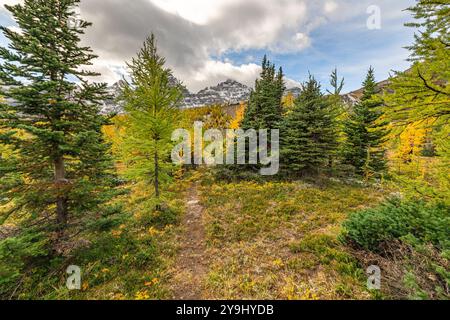 Wunderschöne herbstliche Ausblicke am Sentinal Pass, Larch Valley im September mit leichtem Schnee über die unglaubliche Landschaft im Norden Kanadas, Stockfoto