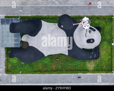 CHENGDU, CHINA - 9. OKTOBER 2024 - Eine 26 Meter lange Skulptur des schwersten Riesenpandas der Welt, mit einem Gewicht von 130 Tonnen, liegt auf dem Boden und hält eine se Stockfoto