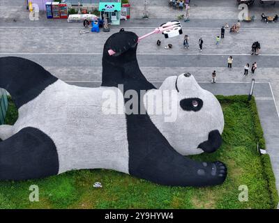 CHENGDU, CHINA - 9. OKTOBER 2024 - Eine 26 Meter lange Skulptur des schwersten Riesenpandas der Welt, mit einem Gewicht von 130 Tonnen, liegt auf dem Boden und hält eine se Stockfoto