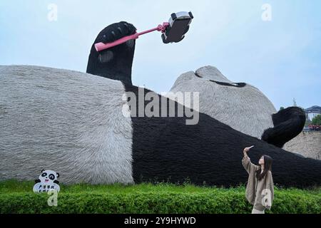 CHENGDU, CHINA - 9. OKTOBER 2024 - Eine 26 Meter lange Skulptur des schwersten Riesenpandas der Welt, mit einem Gewicht von 130 Tonnen, liegt auf dem Boden und hält eine se Stockfoto