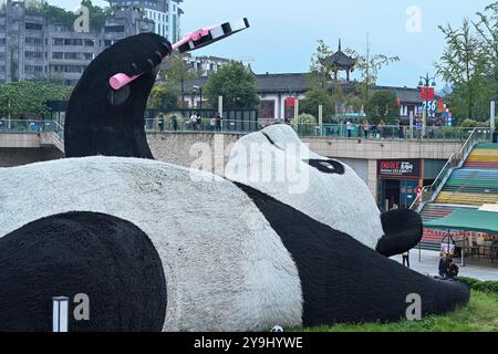 CHENGDU, CHINA - 9. OKTOBER 2024 - Eine 26 Meter lange Skulptur des schwersten Riesenpandas der Welt, mit einem Gewicht von 130 Tonnen, liegt auf dem Boden und hält eine se Stockfoto