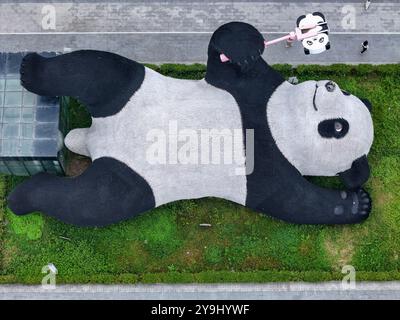 CHENGDU, CHINA - 9. OKTOBER 2024 - Eine 26 Meter lange Skulptur des schwersten Riesenpandas der Welt, mit einem Gewicht von 130 Tonnen, liegt auf dem Boden und hält eine se Stockfoto