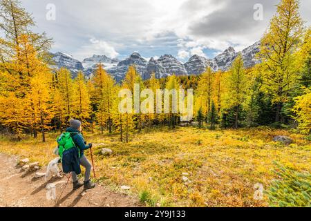 Unglaubliche Herbstausblicke auf das Larch Valley und den malerischen Sentinal Pass im September mit leuchtend gelben Bäumen und einer Frau, die eine Person wandert Stockfoto