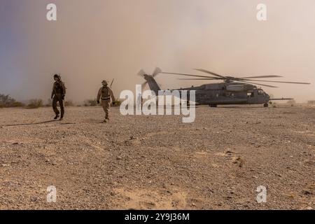 Die US-Marines mit dem 8. Engineer Support Battalion, Combat Logistics Regiment 27, 2nd Marine Logistics Group, koordinieren den Plan des Hubschrauberunterstützungsteams für Piloten mit Marine Aviation Weapons and Tactics Squadron One, bevor sie während des Weapons and Tactics Instructor (WTI) Kurses 1-25 in Yuma, Arizona, 4. Oktober 2024 operieren. WTI 1-25 ist ein 7-wöchiger Fortgeschrittenenkurs, der standardisierte taktische Schulungen bietet und die Planung und Umsetzung von Luft- und Bodentaktiken des Marine Corps durch eine Reihe von eskalierenden Entwicklungen zur Unterstützung der Ausbildung in der Marine-Luftfahrt beinhaltet Stockfoto