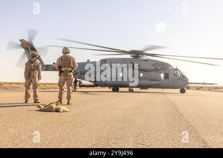 US-Marines mit 8. Engineer Support Battalion, Combat Logistics Regiment 27, 2. Marine Logistics Group, bereiten sich vor, mit Piloten mit Marine Aviation Weapons and Tactics Squadron One zu sprechen, bevor Hubschrauber Support Team Operationen während Weapons and Tactics Instructor (WTI) Kurs 1-25 in Yuma, Arizona, 4. Oktober 2024. WTI 1-25 ist ein fortgeschrittener siebenwöchiger Kurs, der standardisierte taktische Schulungen bietet und die Planung und Umsetzung von Luft- und Bodentaktiken des Marine Corps durch eine Reihe von eskalierenden Entwicklungen umfasst, um die Ausbildung und Vorbereitung der Marine-Luftfahrt zu unterstützen. (US-Marin Stockfoto