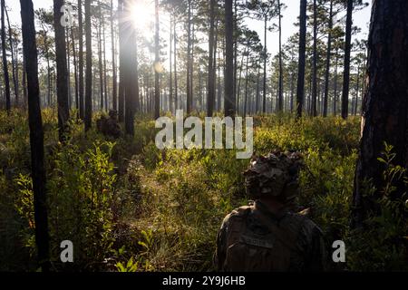 US-Marines mit 3. Bataillon, 6. Marine-Regiment, 2. Marine-Division, führen am 7. Oktober 2024 eine Patrouille während einer Kampfbereitschaft des Marine Corps im Marine Corps Base Camp Lejeune, North Carolina durch. MCCRE umfasst eine Reihe von Szenarien und Herausforderungen, die die Fähigkeit der Einheit zur Planung, Koordination und Ausführung komplexer Missionen, einschließlich offensive und defensive Operationen, Logistik und Kommunikation, testen. (Foto des U.S. Marine Corps von Sgt. Nathan Mitchell) Stockfoto