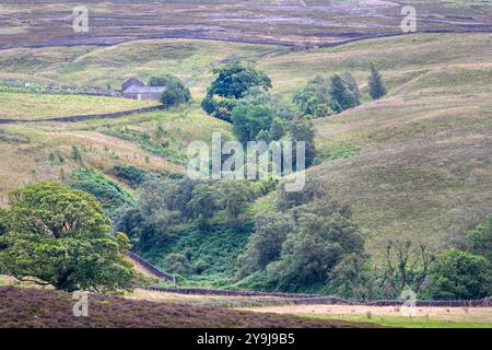 Im Sommer durch North Yorkshire spazieren, eine Farm sehen Stockfoto