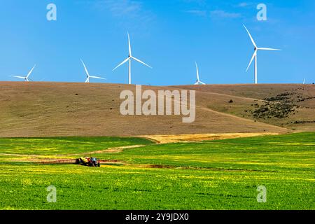 Ackerland und Windgeneratoren entlang der Barunga und Hummocks Ranges mit Rapsfeld, South Australia Stockfoto