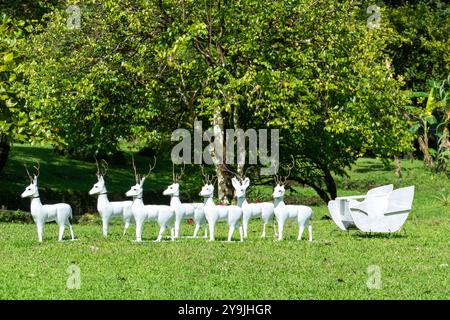 Kochi, Panama - 1. Dezember 2022: weihnachtsskulpturen einer Herde weißer Rendeare mit Kutsche in Panama. Stockfoto