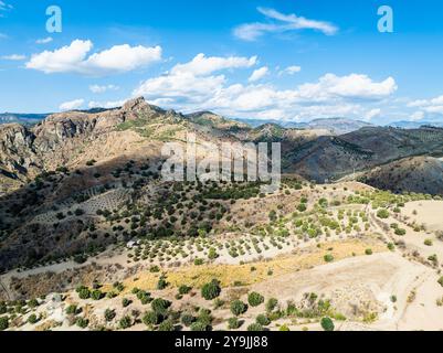 Berge und Olivenhaine rund um Geisterstadt von einer Drohne, Pentedattilo Village, Kalabrien, Italien, Europa Stockfoto