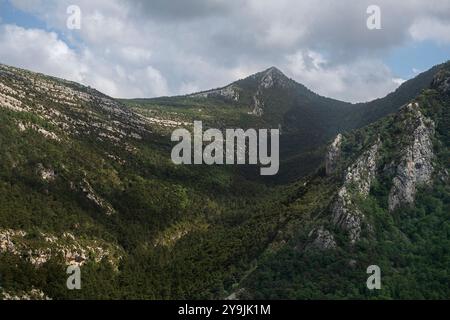 Üppige Vegetation bedeckt die steilen Kalksteinklippen der Verdon-Schlucht. Das Bild zeigt eine Vielzahl von Pflanzenarten, einschließlich dunkelgrüner Nadelbäume Stockfoto