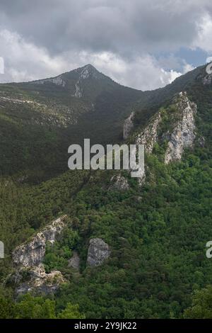 Grüne Klippen und dichte Vegetation in der Verdon-Schlucht, Frankreich Stockfoto