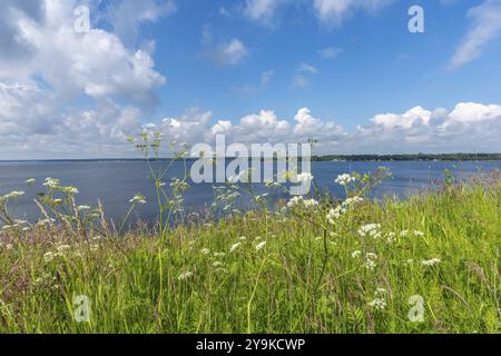 Naturschutzgebiet Holnis Halbinsel am Flensburger Fjord, Naturschutzgebiet, Blick auf die dänische Küste, deutsche, dänische Grenze, blauer Himmel, weiße Wolken, Stockfoto