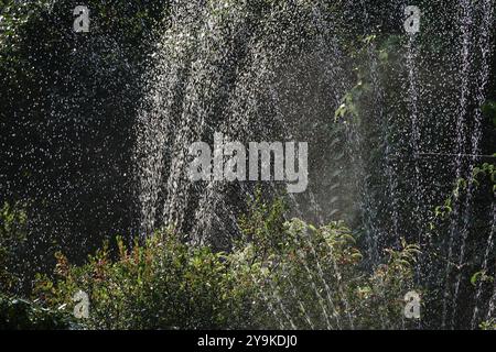 Bewässerung des Gartens, Anfang September, Deutschland, Europa Stockfoto