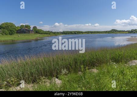 Kleines Noor im Naturschutzgebiet Holnis Halbinsel, NSG, Binnensee mit Verbindung zum Fjord, Schilfufer, blauer Himmel, weiße Wolken, Gluecksburg, Sch Stockfoto