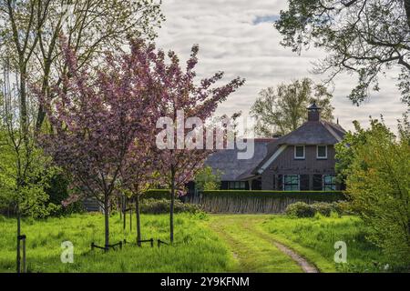 Giethoorn Niederlande, City Skyline am Kanal und traditionelles Haus im Dorf Giethoorn Stockfoto