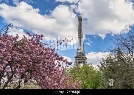 Paris Frankreich City Skyline am Eiffelturm mit Feder kirsche Blüte Blume Stockfoto