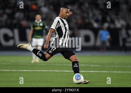 Rio de Janeiro, Brasilien, 17. Juli 2024. Fußballspiel zwischen Botafogo und Palmeiras für die brasilianische Meisterschaft 2024 in der Nilton Santos Str. Stockfoto