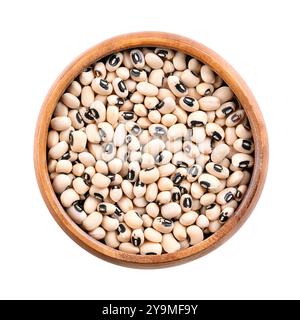 Getrocknete Erbsen mit schwarzen Augen in einer Holzschale. Schwarze Bohnen oder kalifornische Schwarzauge, eine Hülse mittelgroßer Bohnen, blass gefärbt mit auffälligem schwarzen Fleck. Stockfoto