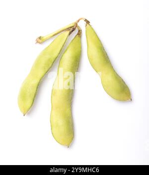 Frische Edamame-Schoten, grüne Sojabohnen, von oben. Rohe und ungekochte unreife Sojabohnen, Glycin max, gekocht oder gedämpft und gesalzen, als Beilage. Stockfoto