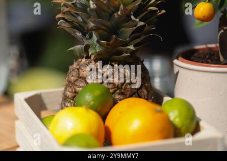 Geringe Schärfentiefe (selektiver Fokus) mit Ananas, Zitronen, Limette und Orangen auf einer Limonade-Bar. Stockfoto