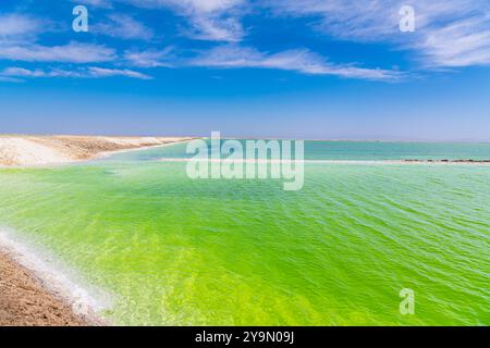 Mineralbergbau in China. Ein Rand von Kristallsalzen umgibt den Qarhan-See, den größten Salzsee playa in China und eine bedeutende Salzquelle Stockfoto