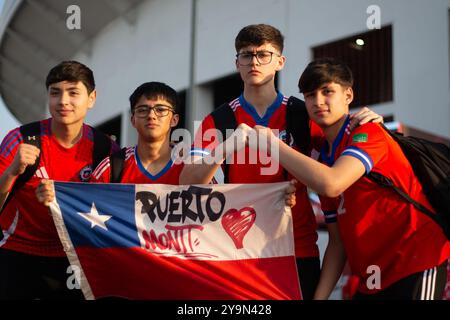 Santiago, Chile. Oktober 2024. CHILE - SANTIAGO - 10/10/2024 - 2026 WM-QUALIFIKATION, CHILE x BRASILIEN - Fans während des Spiels zwischen Chile und Brasilien im Nationalstadion für die WM-Qualifikation 2026. Foto: Gil Gomes/AGIF (Foto: Gil Gomes/AGIF/SIPA USA) Credit: SIPA USA/Alamy Live News Stockfoto